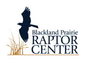 Blackland Prarie Raptor Center